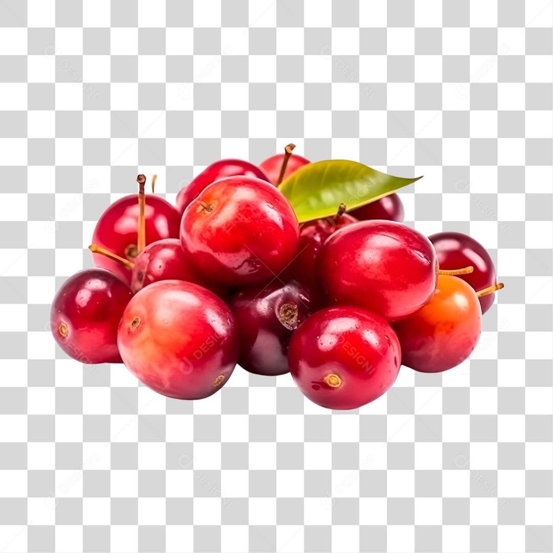 Cerejas maduras e frescas PNG Transparente