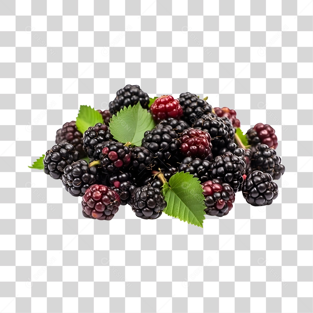 Amora maduras e frescas PNG Transparente