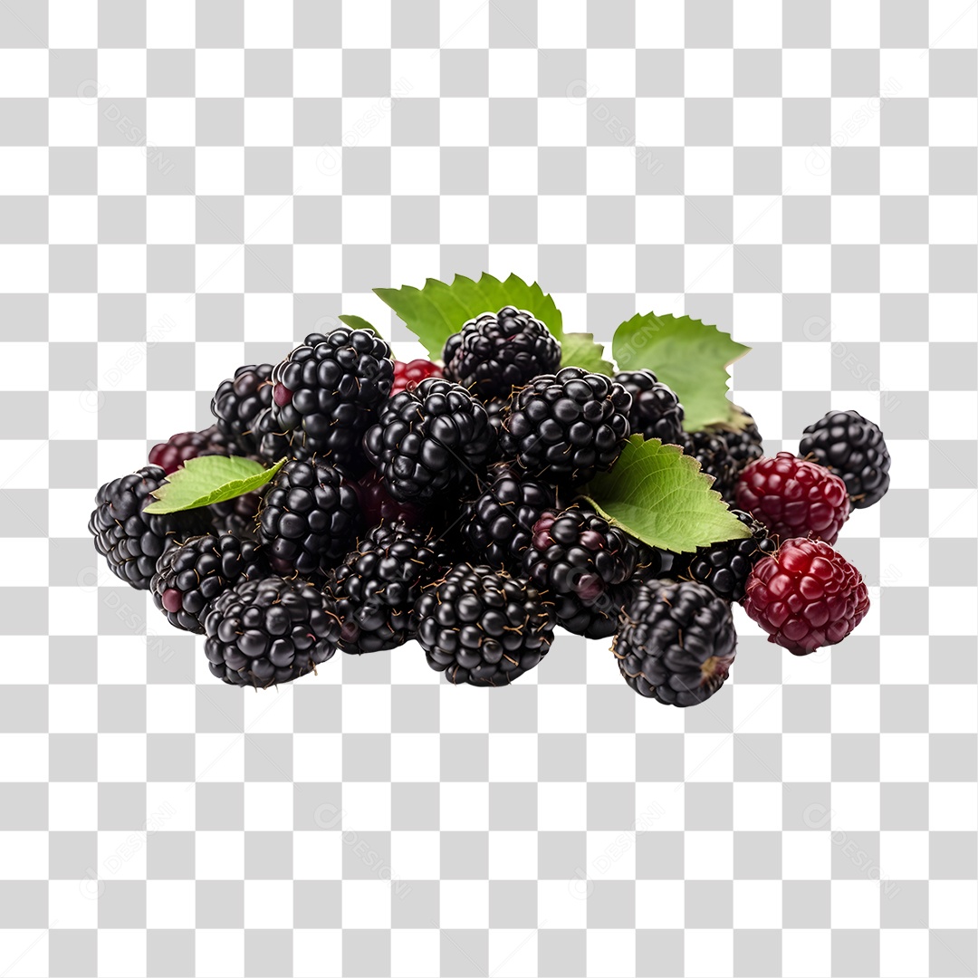 Amora maduras e frescas PNG Transparente
