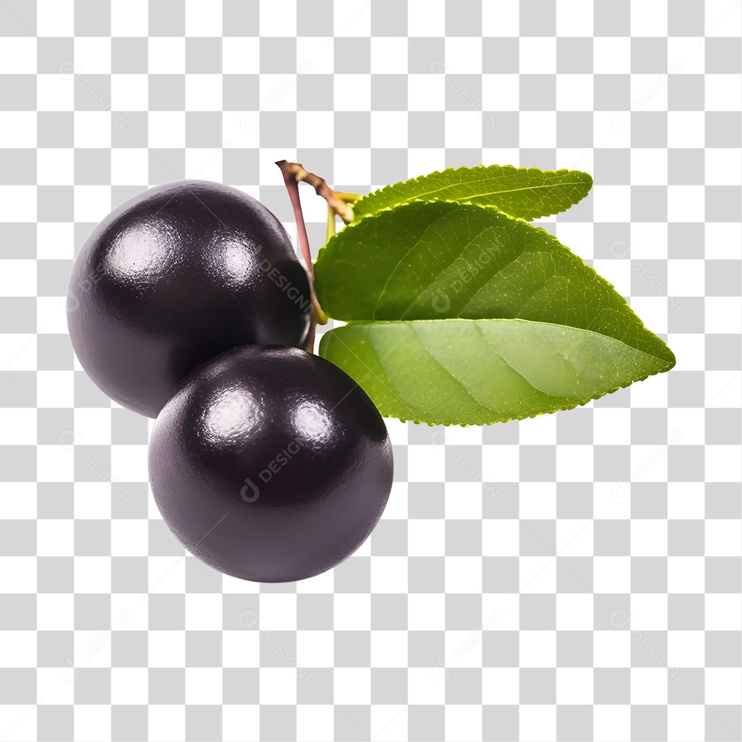 Açaí maduro e fresco PNG Transparente