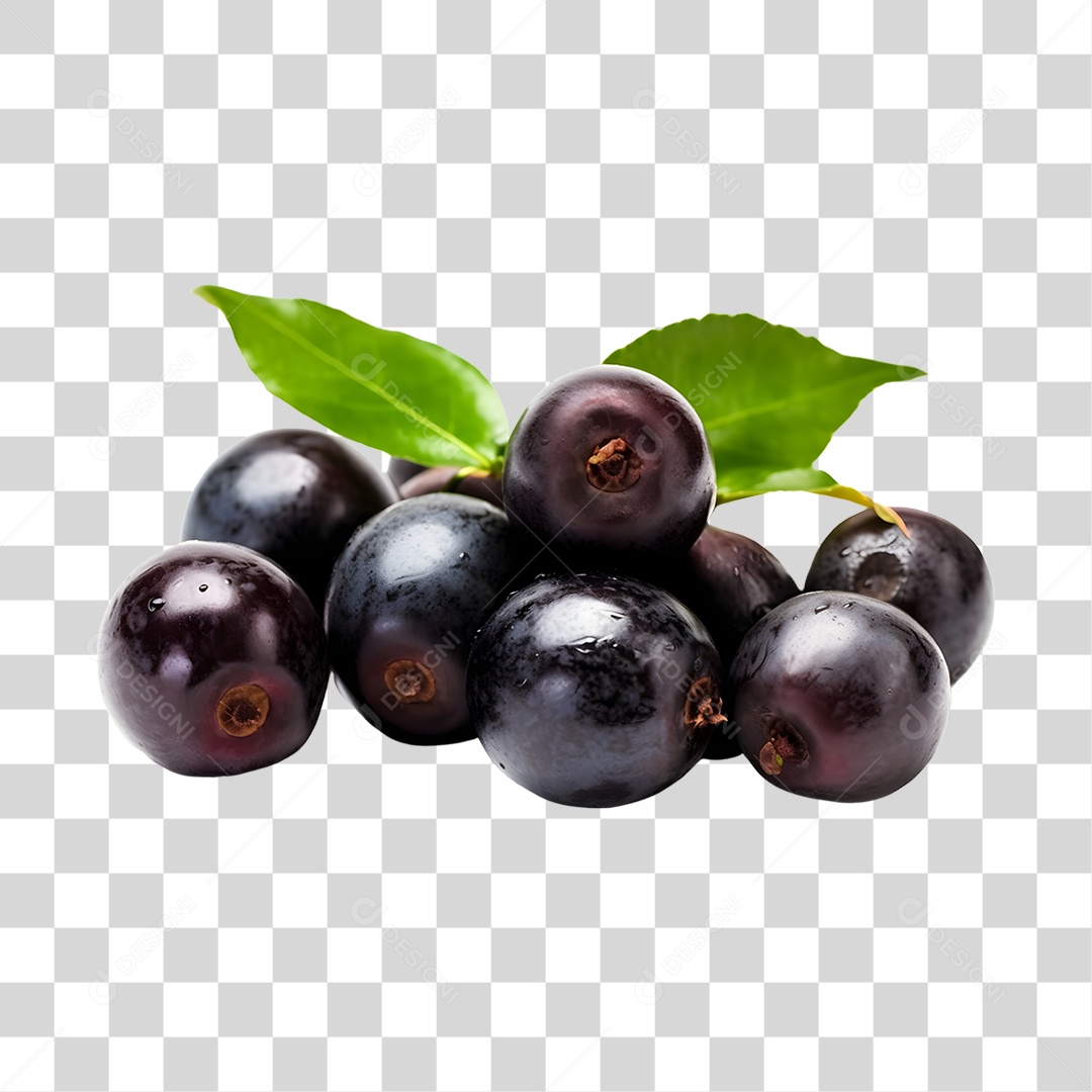 Açaí maduro e fresco PNG Transparente