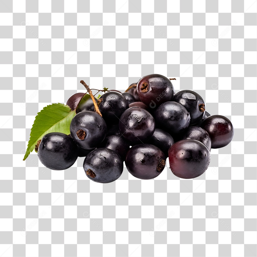 Açaí maduro e fresco PNG Transparente