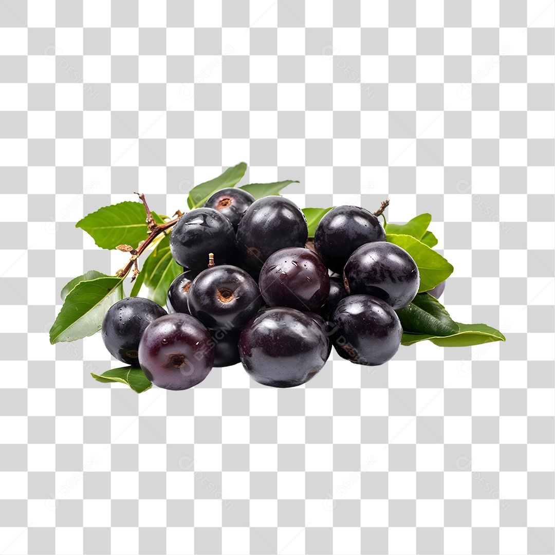 Açaí maduro PNG Transparente