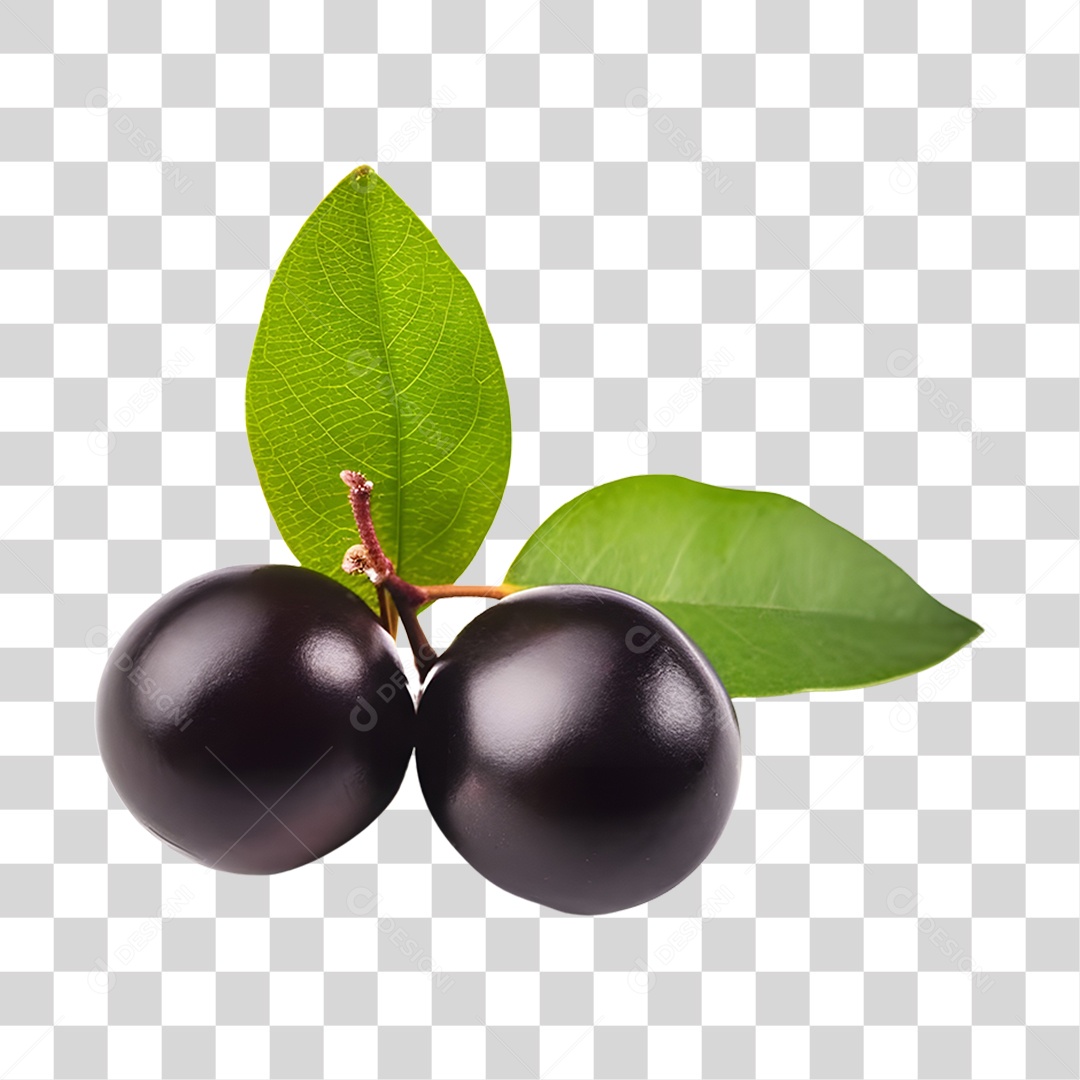 Açaí maduro PNG Transparente