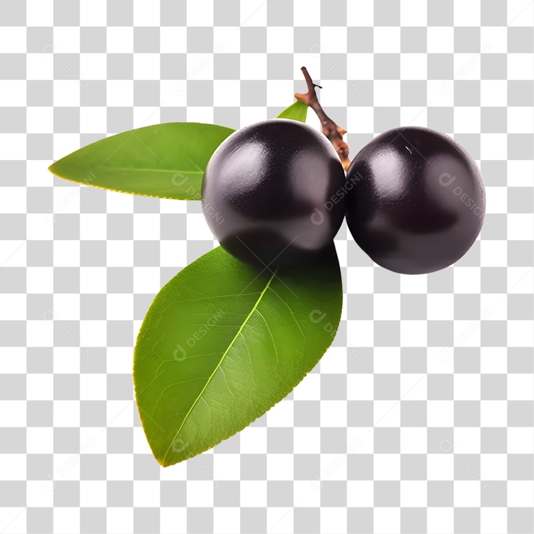 Açaí maduro PNG Transparente