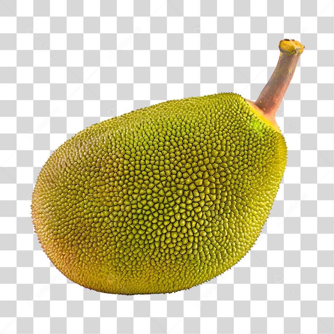 Jaca fresca e madura PNG Transparente