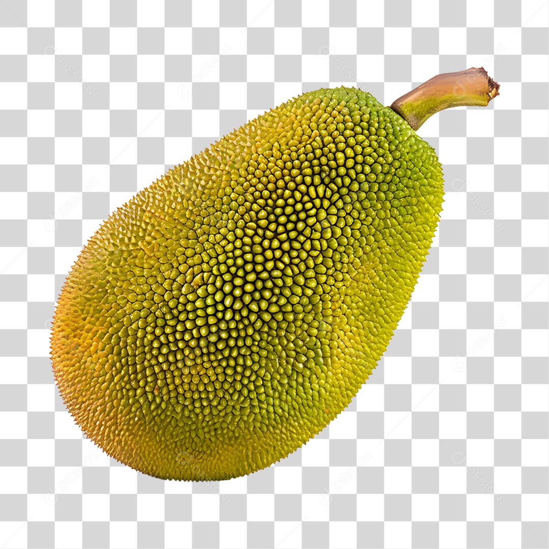 Jaca fresca e madura PNG Transparente