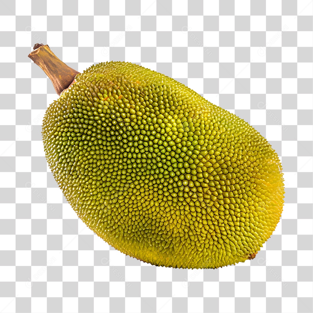 Jaca fresca e madura PNG Transparente