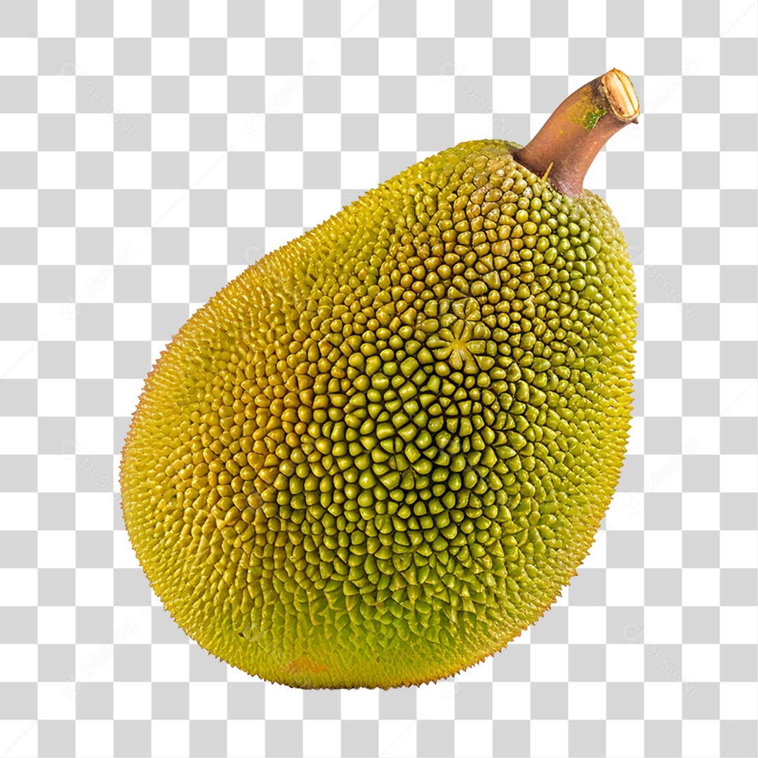 Jaca fresca e madura PNG Transparente