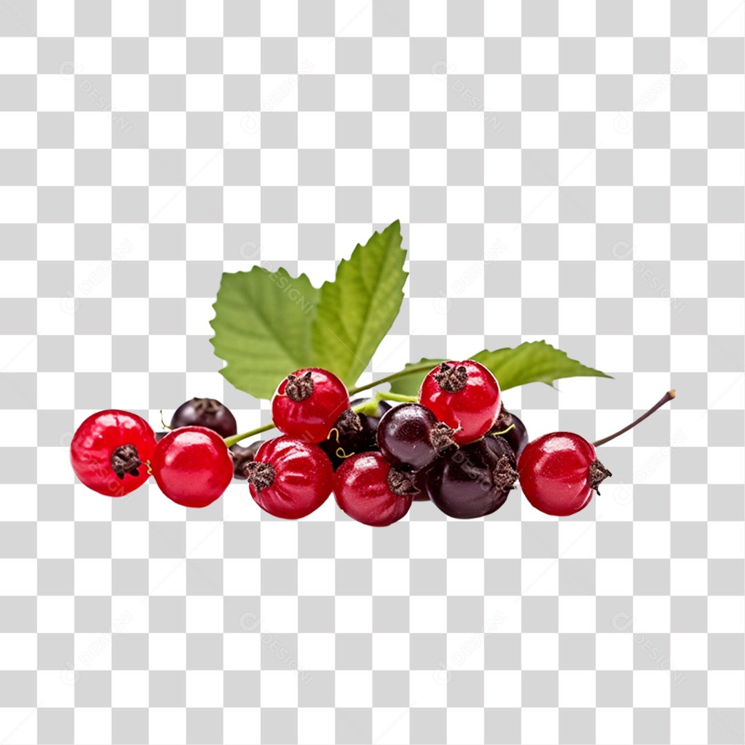 Groselha madura fresca PNG Transparente