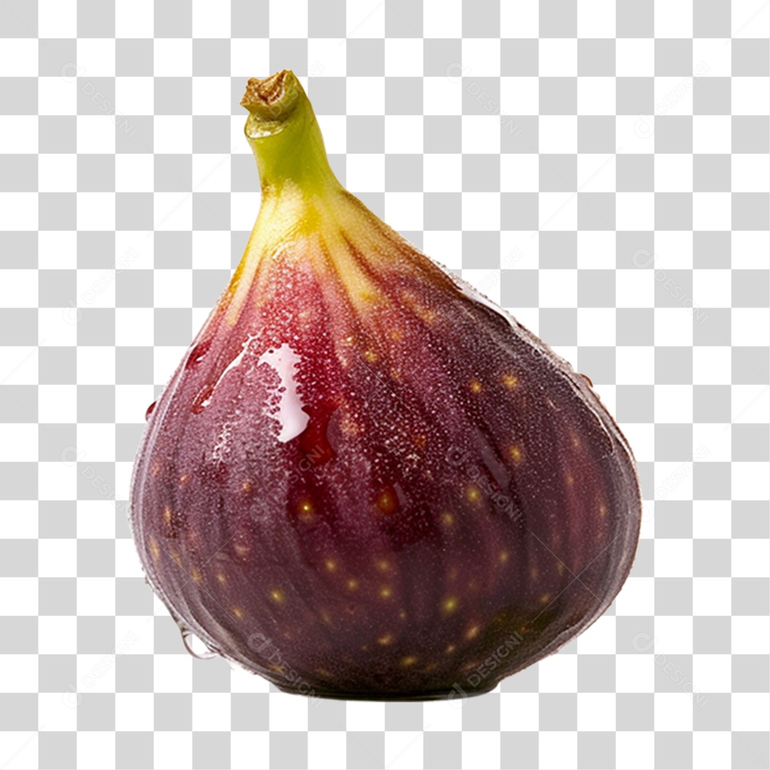 Figueira comum maduras e frescas PNG Transparente