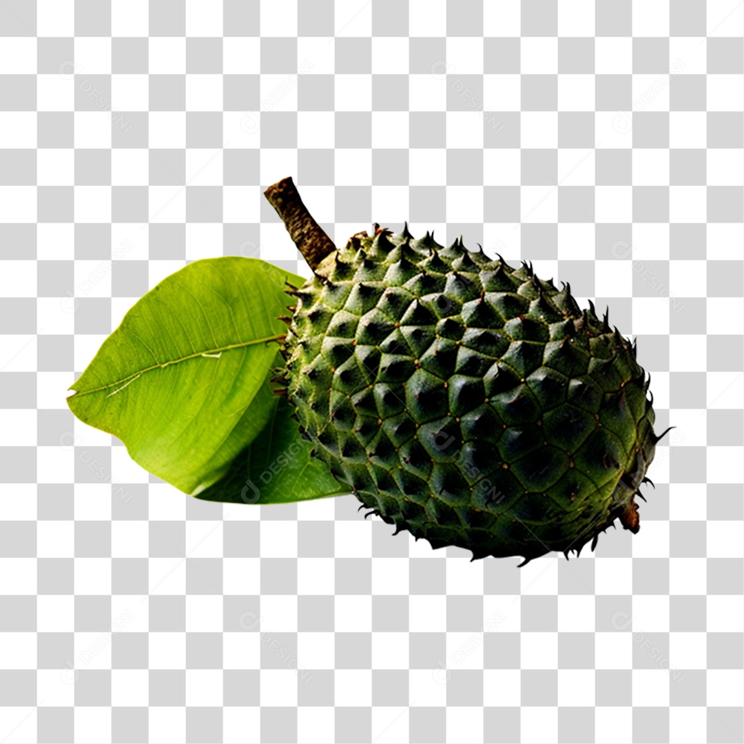 Graviola fresco e maduro PNG Transparente