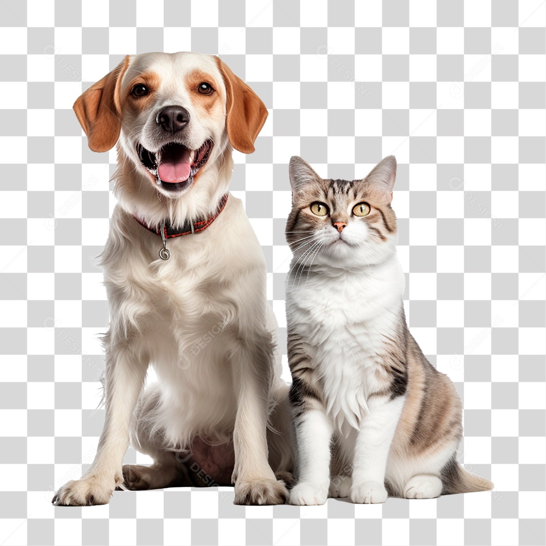 Cão e Gato PNG Transparente