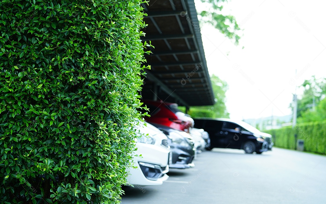 Estacionamento sustentável