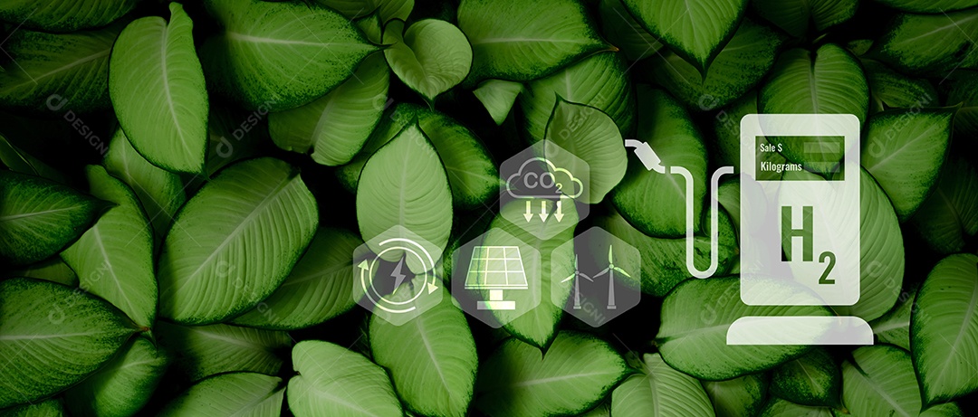 Hidrogênio verde energia renovável sustentável