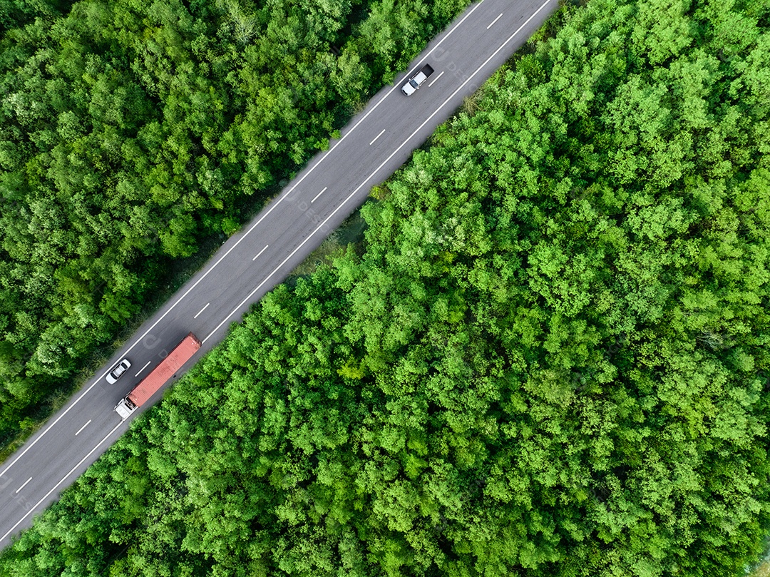 Vista aérea superior de carro e caminhão dirigindo na rodovia em floresta verde