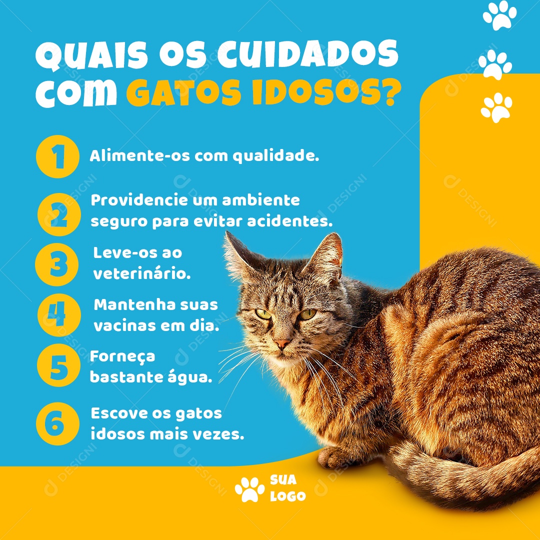 Social Media Quais Os Cuidados Com Gatos Idosos PSD Editável