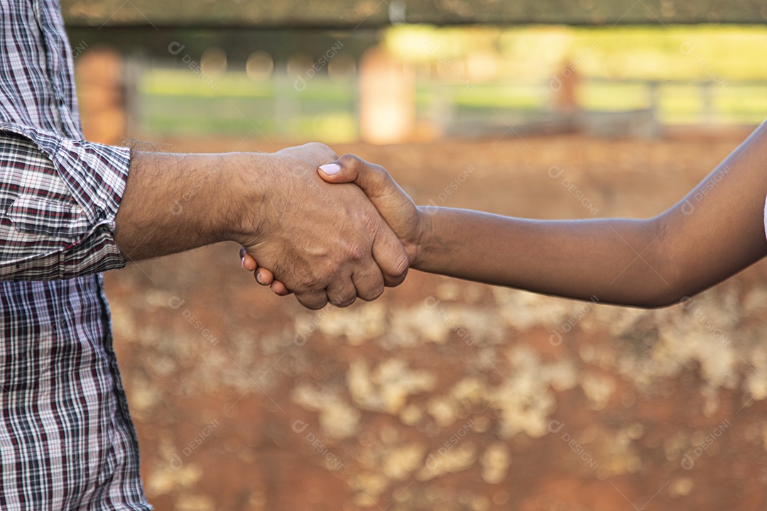 Mãos de pessoa sendo apertada fechando acordos
