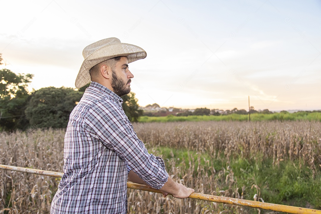 Homem jovem agricultor sobre plantio