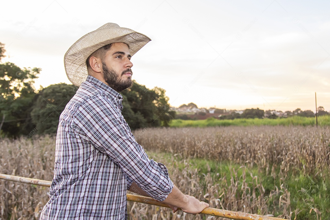 Homem jovem agricultor sobre plantio