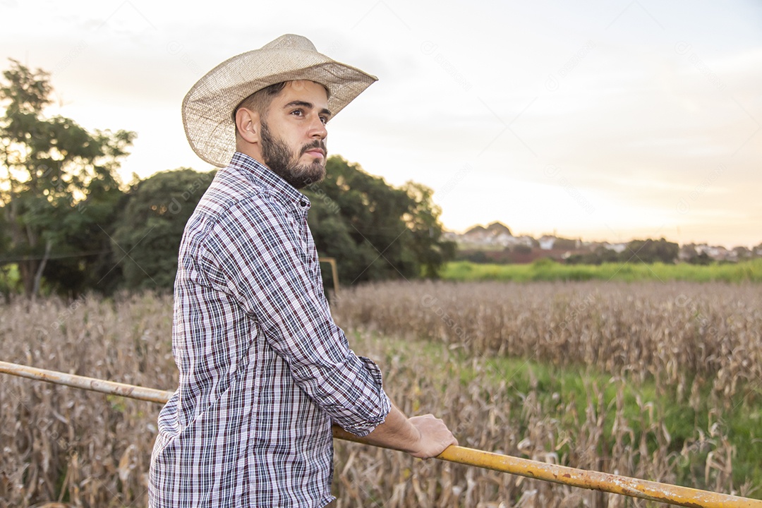 Homem jovem agricultor sobre plantio
