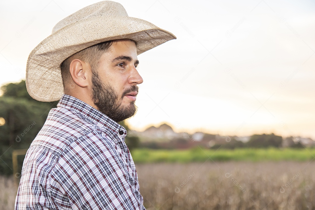 Homem jovem agricultor sobre plantio
