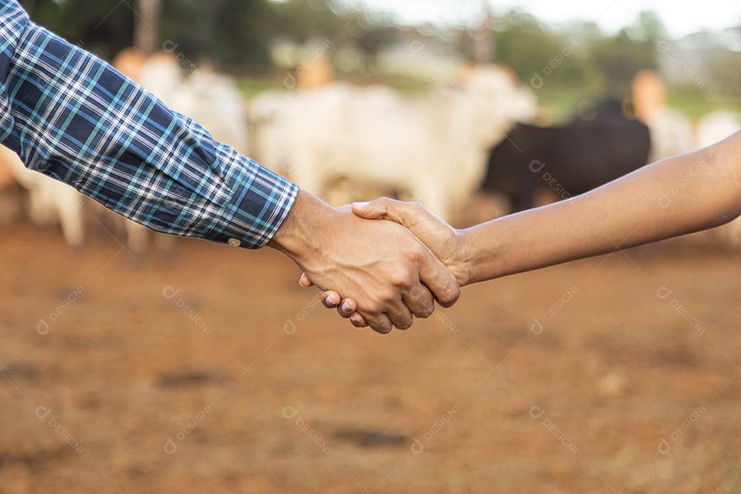 Mãos de pessoas dadas sobre fundo isolado