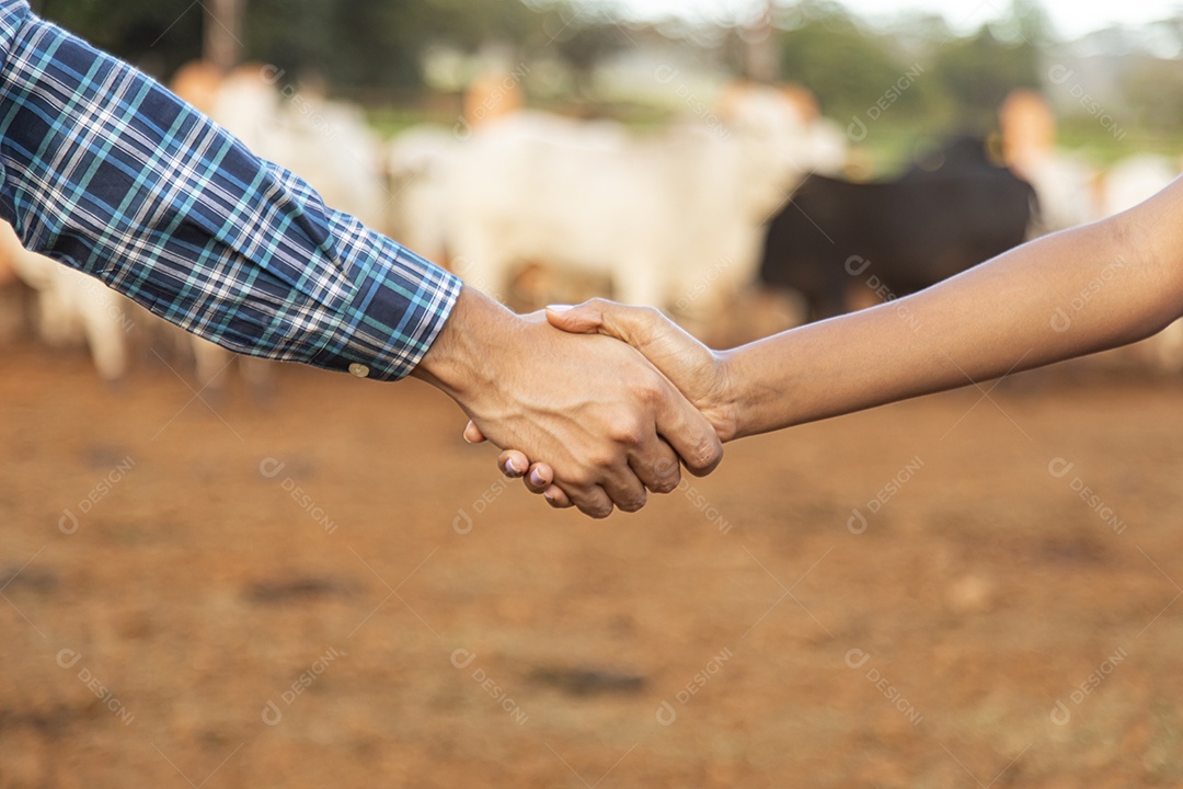 Mãos de pessoas dadas sobre fundo isolado