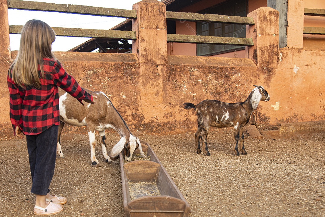 Linda garotinha sobre fazenda