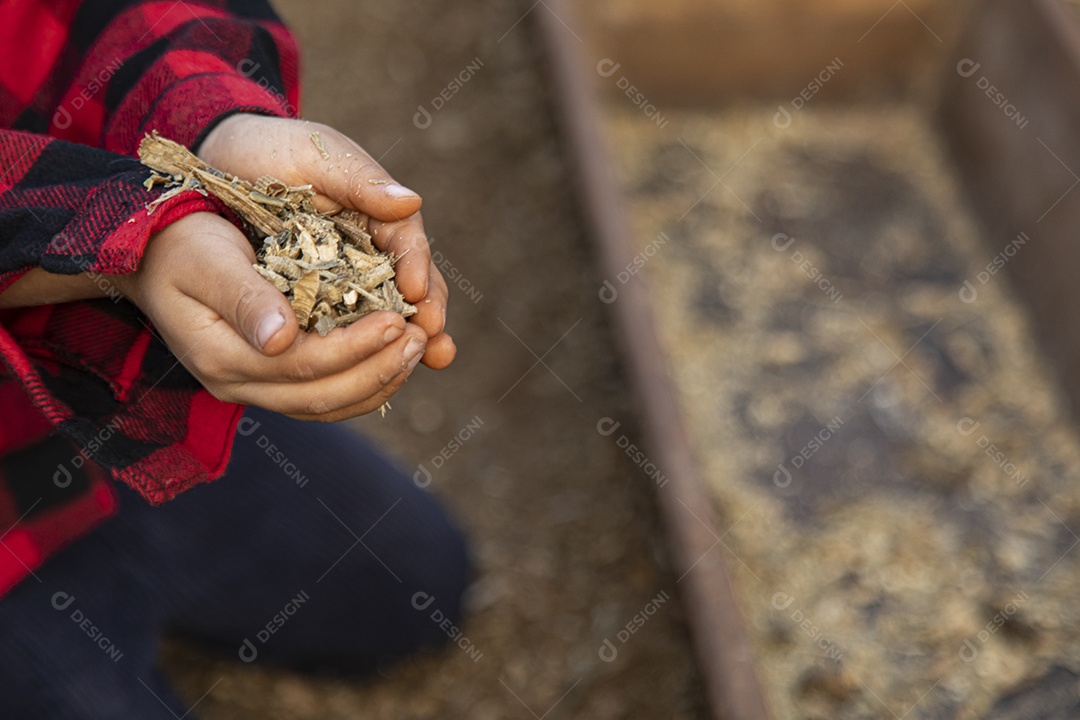 Mulher jovem agricultora sobre fazenda