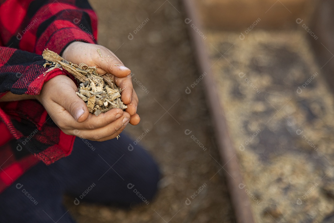 Mulher jovem agricultora sobre fazenda