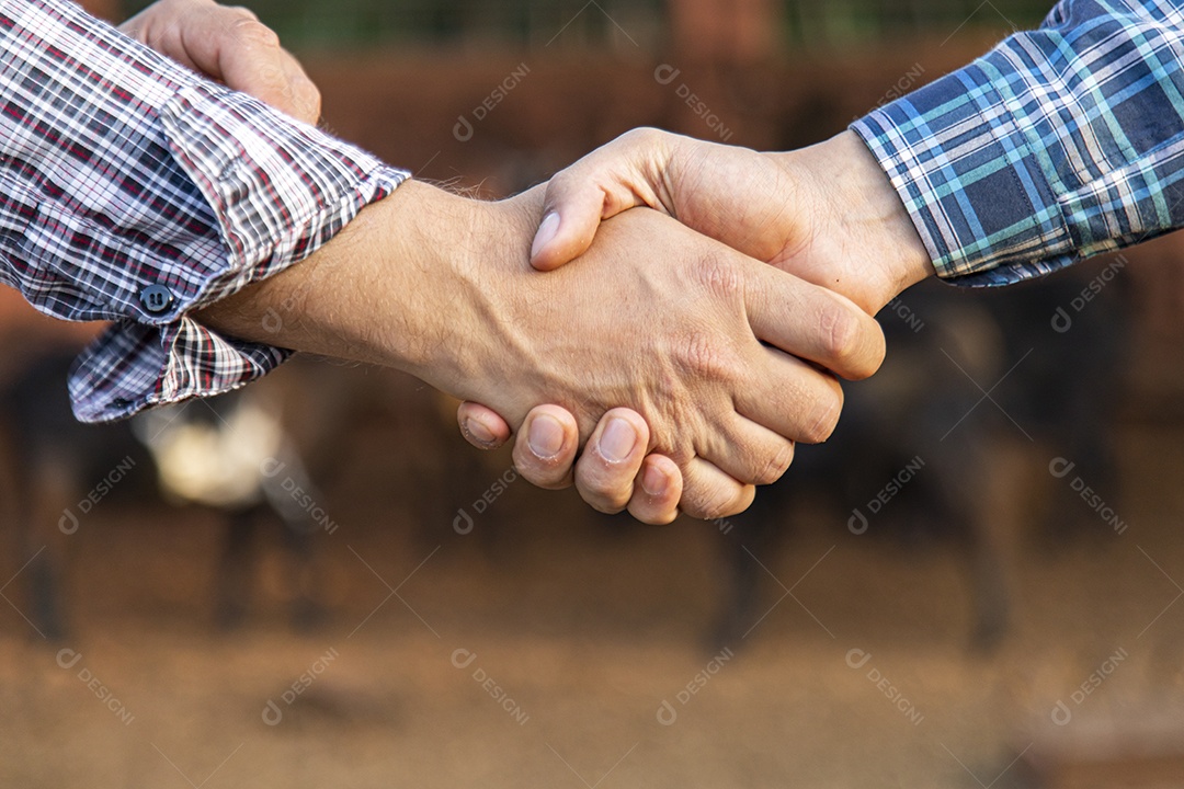 Pessoas de negócios apertando as mãos