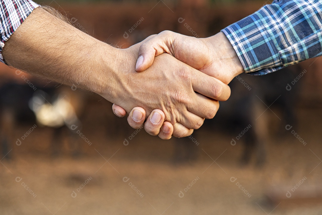 Pessoas de negócios apertando as mãos