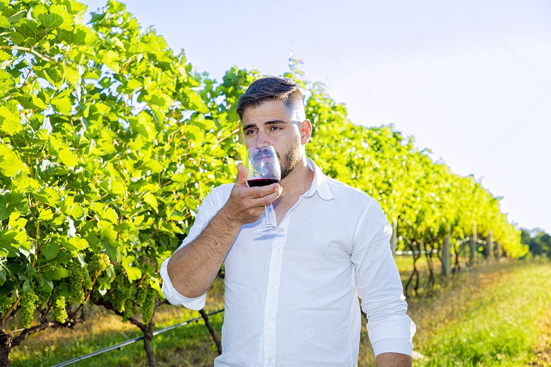 Homem jovem sobre plantio de uvas