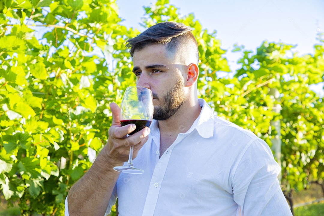 Homem jovem sobre plantio de uvas