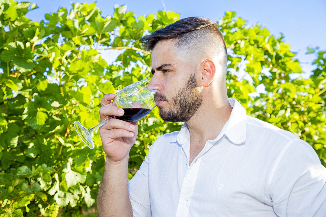 Homem jovem sobre plantio de uvas