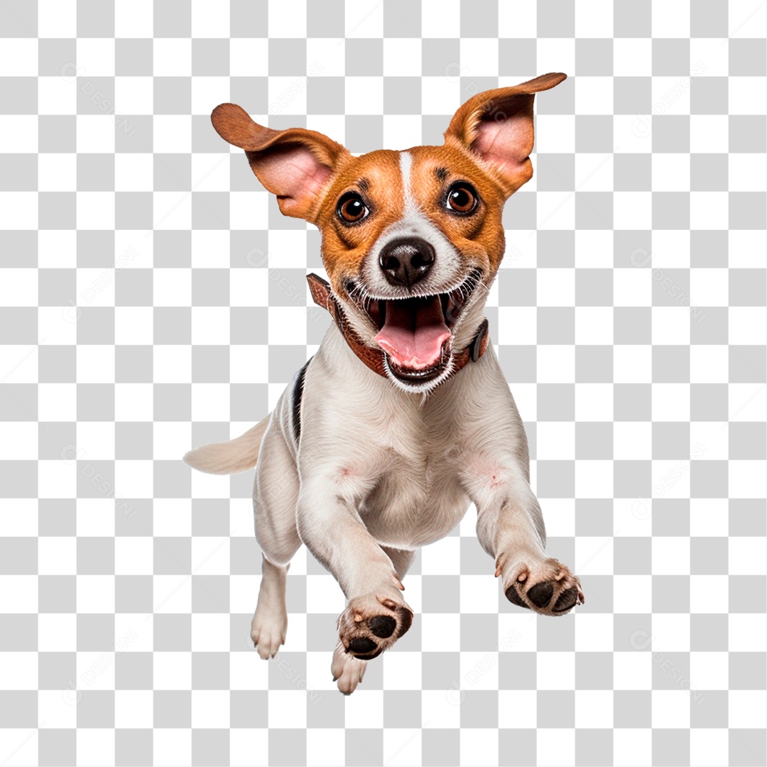 Cão PNG Transparente