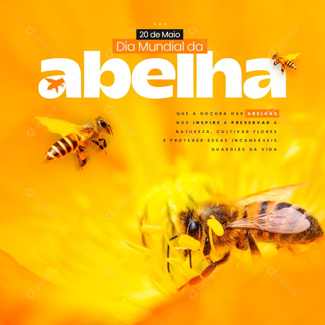 Dia Mundial da Abelha 20 de Maio Social Media PSD Editável
