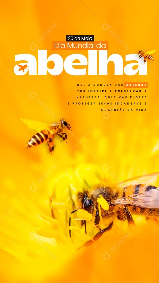 Story Dia Mundial da Abelha 20 de Maio Social Media PSD Editável