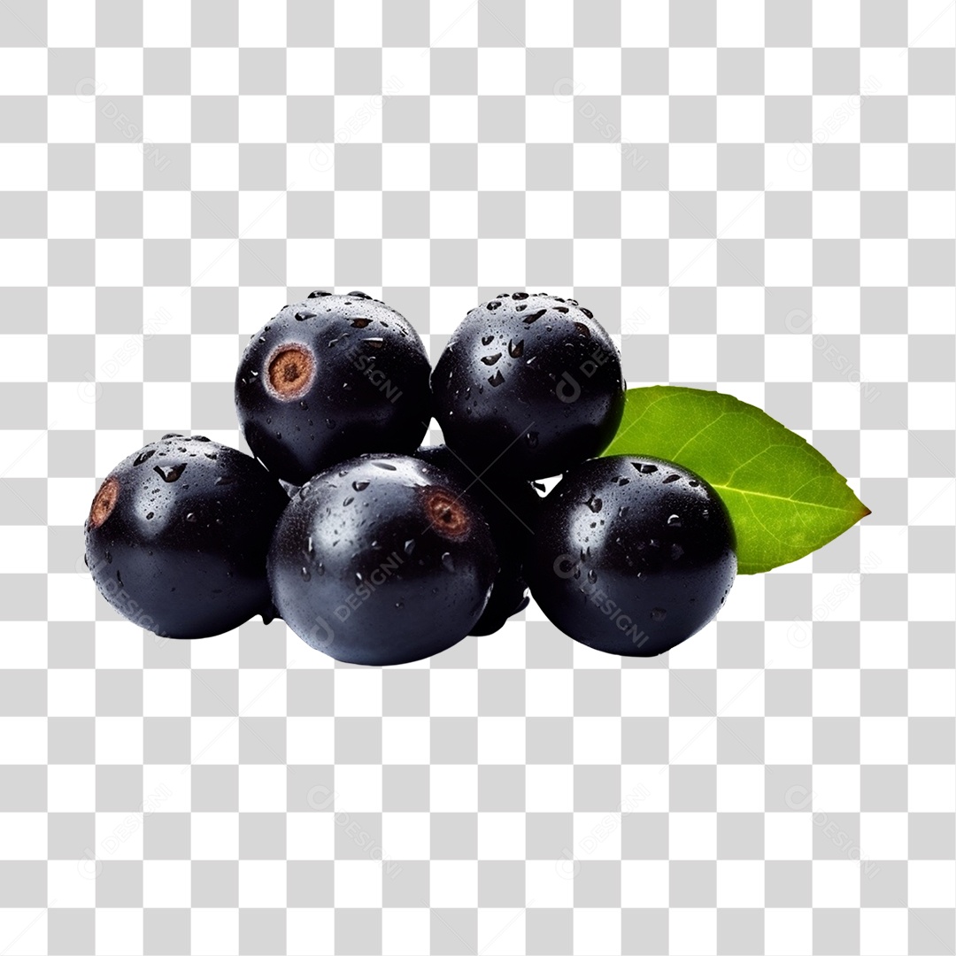 Açaí maduro PNG Transparente