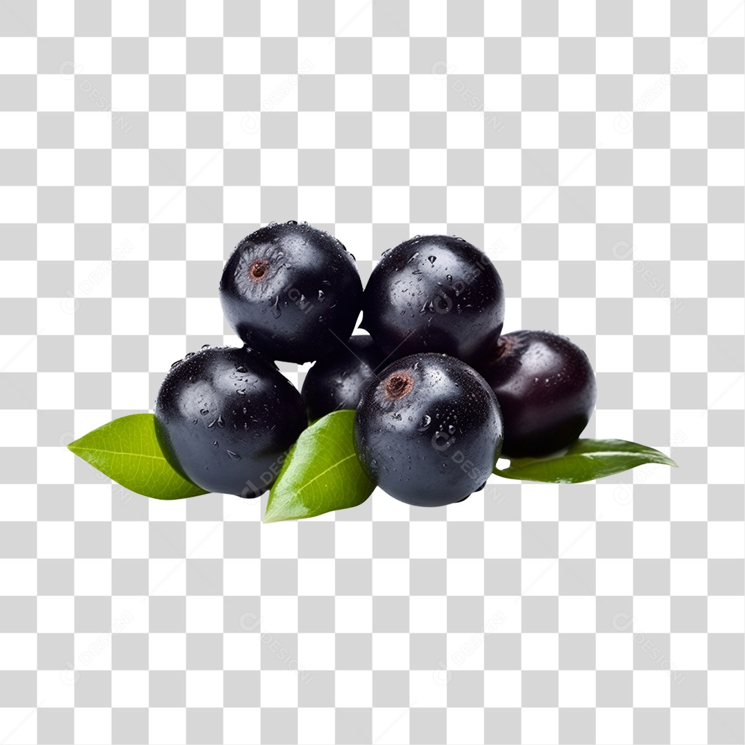 Açaí maduro PNG Transparente