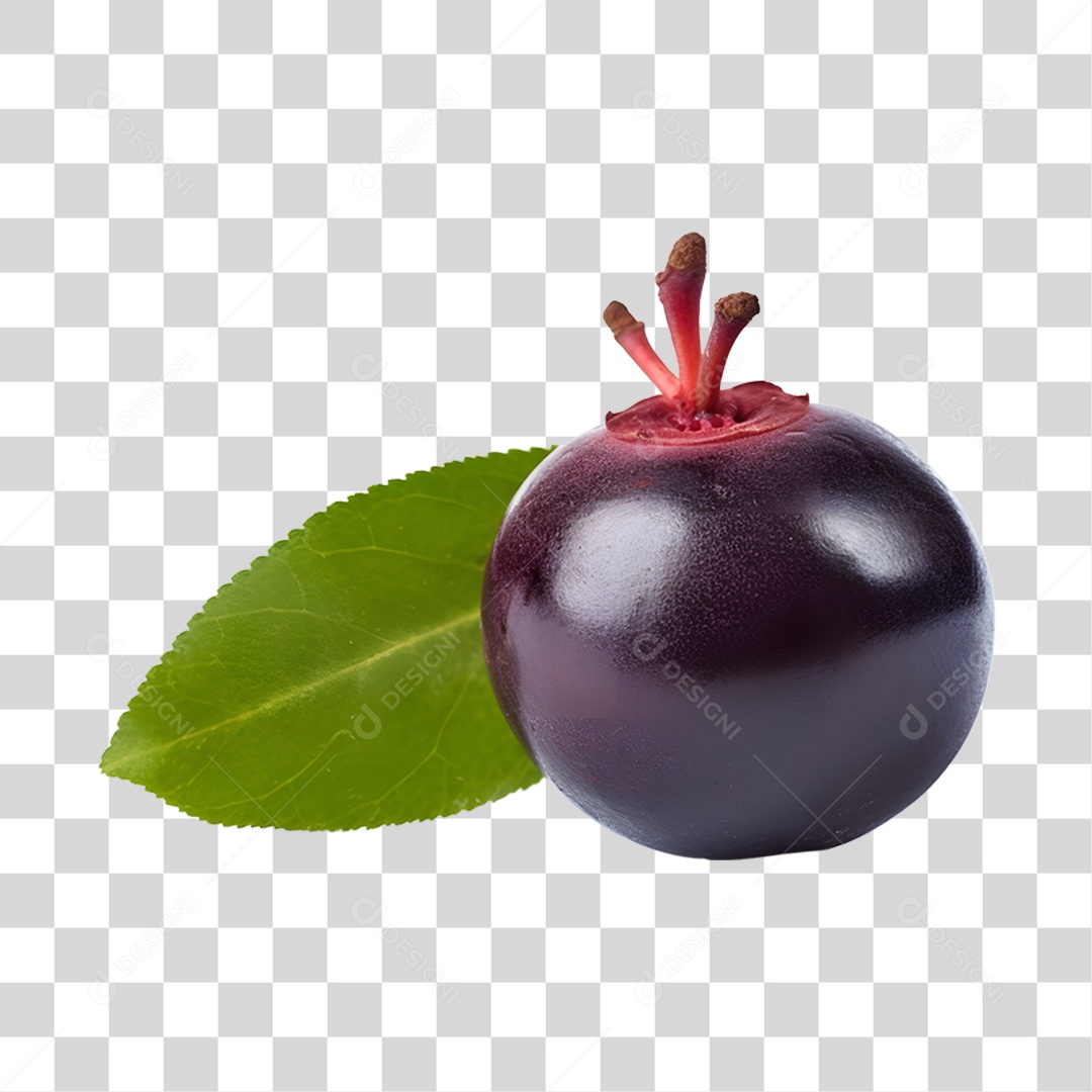 Açaí maduro PNG Transparente