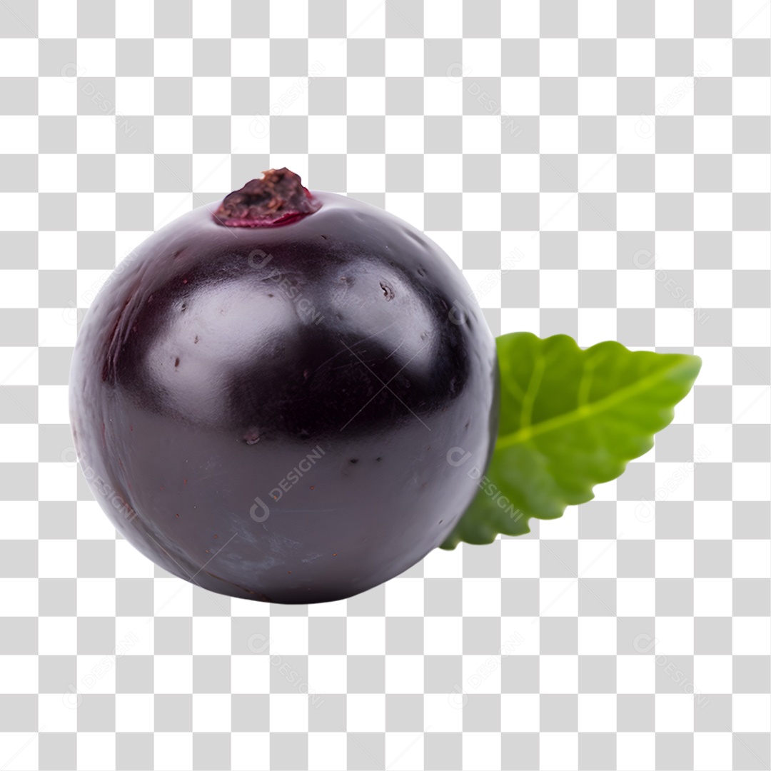 Açaí maduro PNG Transparente