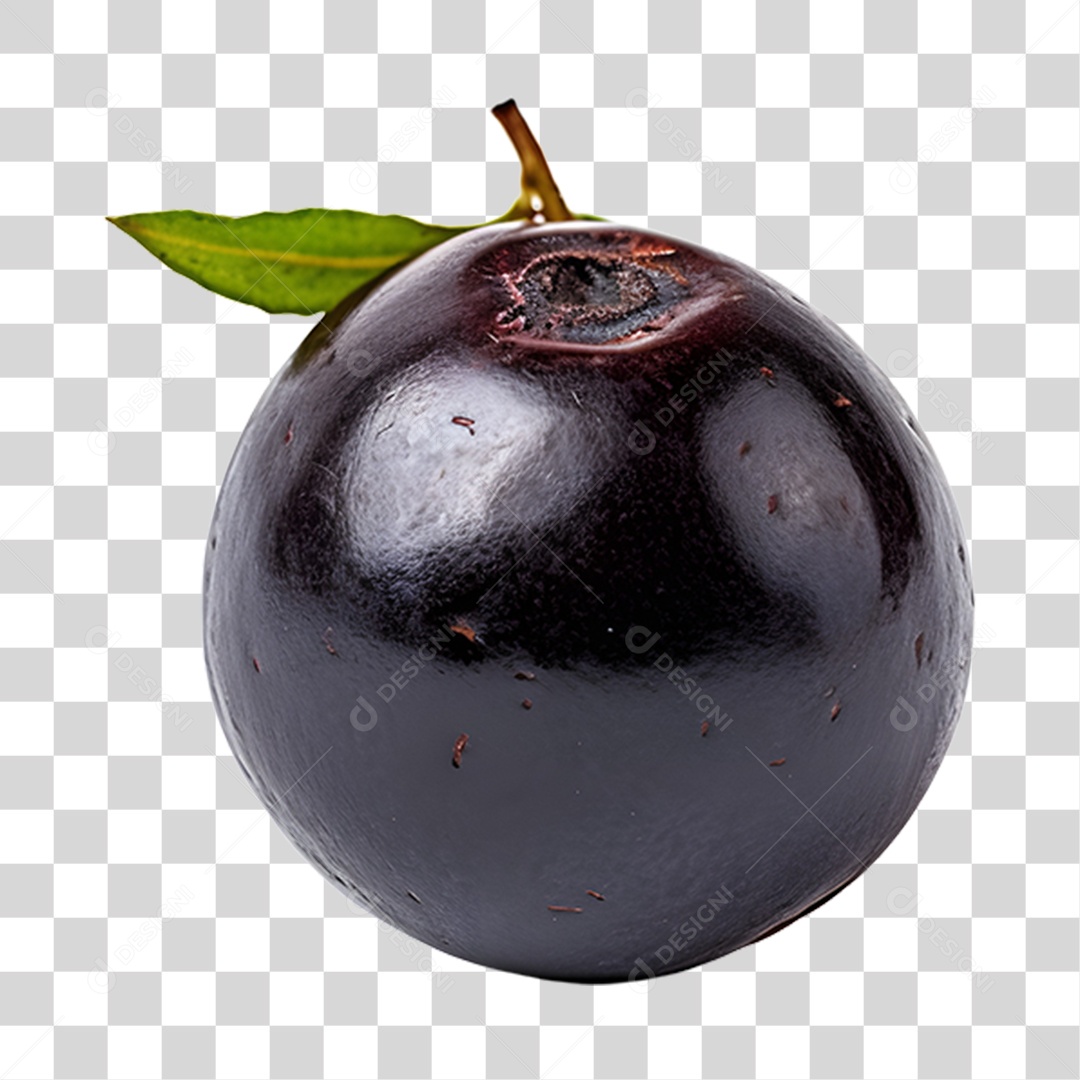 Açaí maduro PNG Transparente