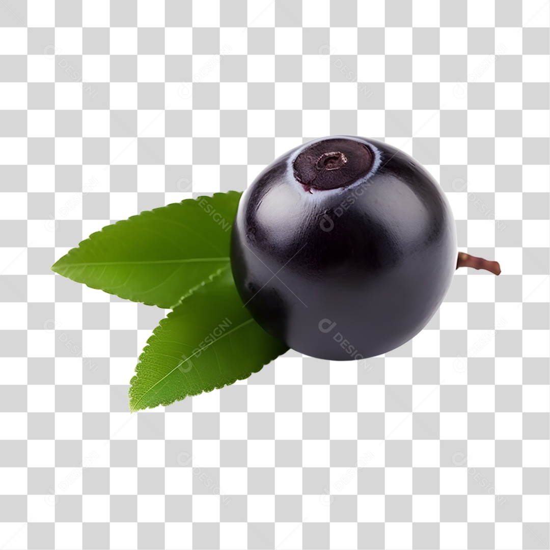 Açaí maduro PNG Transparente