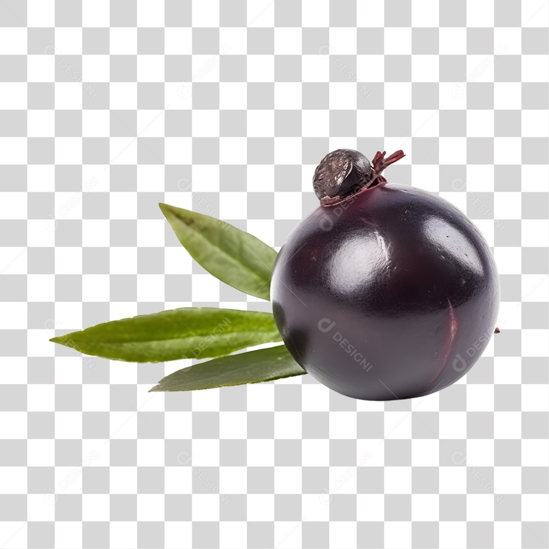 Açaí maduro PNG Transparente