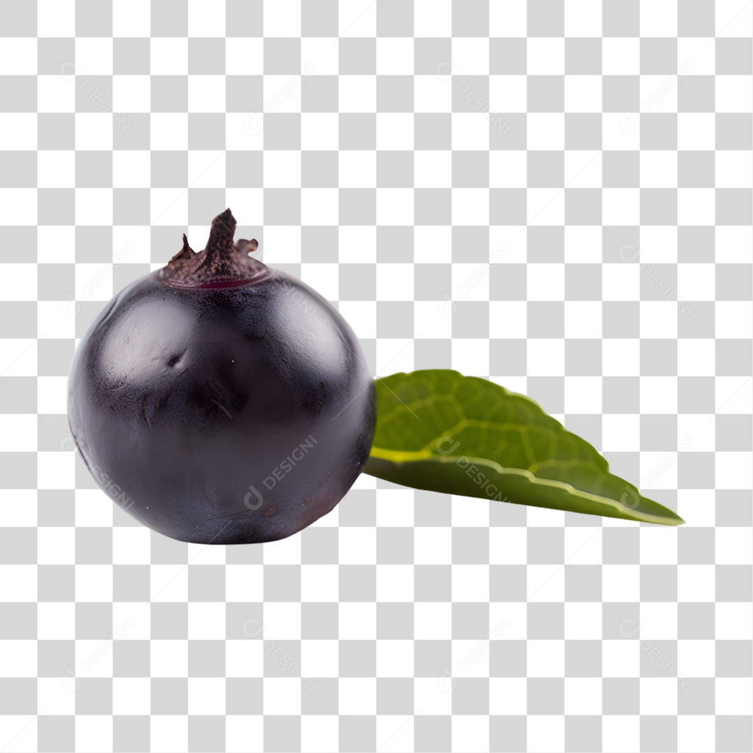 Açaí maduro PNG Transparente