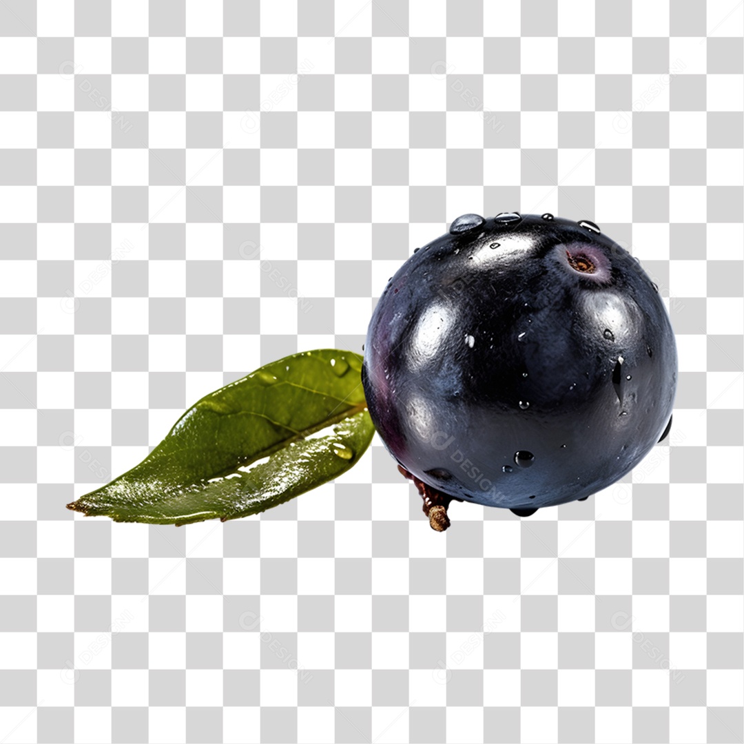 Açaí maduro PNG Transparente