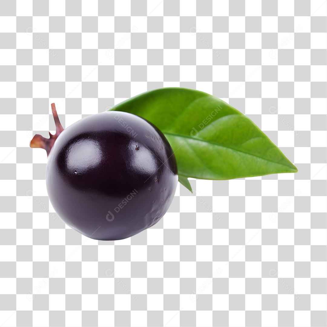 Açaí maduro PNG Transparente