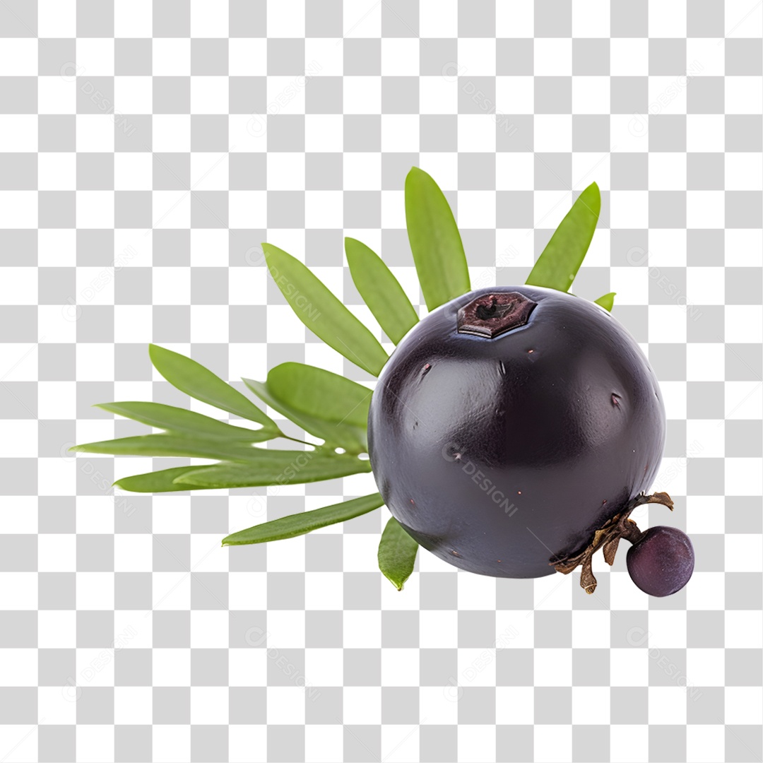 Açaí maduro PNG Transparente
